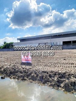 ขายที่ดินถมแล้ว ติดถนน ย่าน วัดแหลมฟ้าผ่า วัดใหญ่ สุขสวัสดิ์ ในคลองบางปลากด พระสมุทรเจดีย์ : ใกล้ ม.ทัศนีย์2 : 2 ไร่