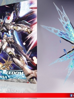 MG 1/100 Strike Freedom Ver.MB Style [MOMOKO]