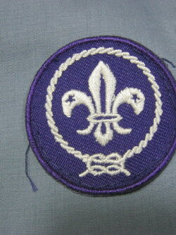 เครื่องหมายลูกเสื้ออเมริกา