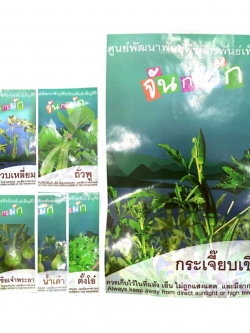 Exp.23/11/68 เมล็ดพันธุ์พืช จันกะผัก