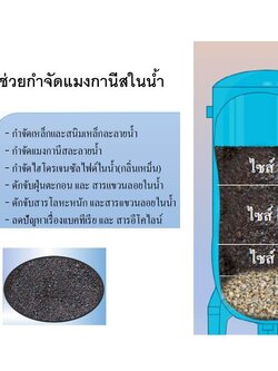 การกำจัดแมงกานีสในน้ำ