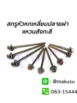 สกรูยึดกระเบื้องลอนคู่ แปไม้ ปลายผ่า แหวนสังกะสี สกรูยึดกระเบื้อง มี 6 ขนาด