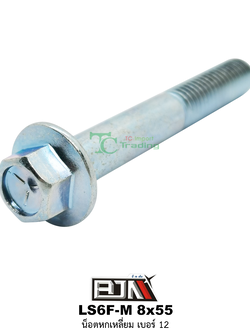 LS6F-M 8x55 น็อตหกเหลี่ยมเบอร์ 12 ( 1 ถุงมี 20 ตัว )
