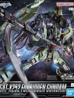 FM 1/100 FORBIDDEN GUNDAM