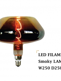 หลอดไฟ W250