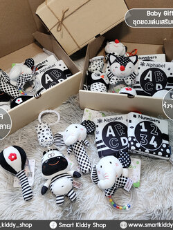 Baby Gift Set 6 ชิ้น ชุดของขวัญเด็กแรกเกิด ของเล่น หนังสือผ้าเสริมพัฒนาการ สีขาว-ดำ