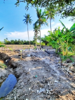 ขายที่ดินเปล่า ถ.ศาลายา-นครชัยศรี ซ.เลียบคลองงิ้วราย ต.งิ้วราย อ.นครชัยศรี นครปฐม ใกล้ อบต.งิ้วราย / พื้นที่ 2-2-81 ไร่