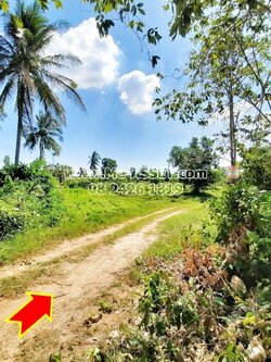 ขายที่ดินเกษตร ปลูกสวนยาง และต้นสัก ต.เกาะหลัก อ.เมือง ประจวบคีรีขันธ์ ใกล้อ่าวมะนาว : 5-1-34 ไร่