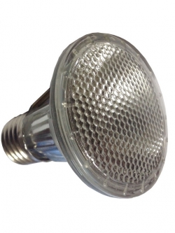 หลอด PAR20 220V 50W 25° E27 EVE