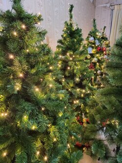 ค้นหาต้นคริสต์มาสให้เช่าในราคาสุดพิเศษ