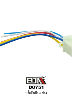 D0751 ปลั๊กตัวเมีย 6 ช่อง