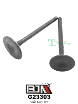 G23303 วาล์ว MIO 125