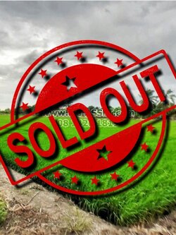 ขายที่ดินเปล่า ย่าน ลานตากฟ้า งิ้วราย มหาสวัสดิ์ : ใกล้ ม.พฤกษา 8 : 5-2-30.5 ไร่