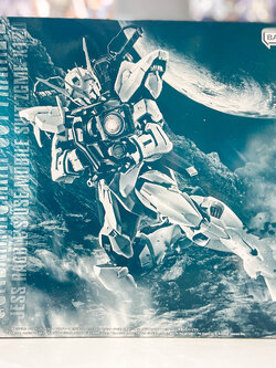 (พร้อมส่ง) MG 1/100 Gundam Astray Out Frame D