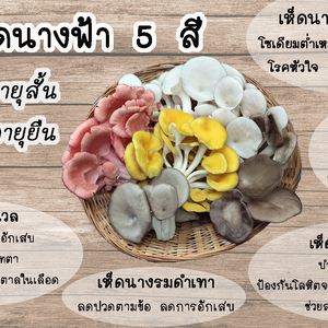กินเห็ดแล้วได้อะไร??