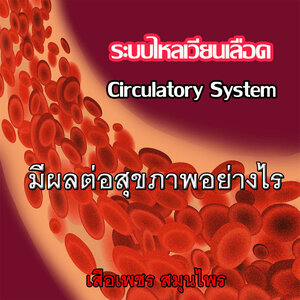 💞ระบบไหลเวียนของเลือดคือ..อะไร?