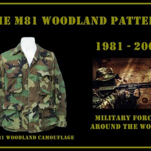 แนวทางการสะสม เสื้อทหารสหรัฐ ลายwoodland M81