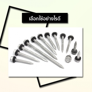 เลือกสกรูให้เหมาะกับงาน