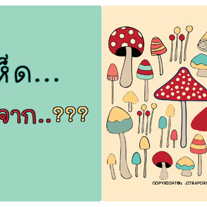 การเดินทางของเห็ด เห็ดเกิดจาก???