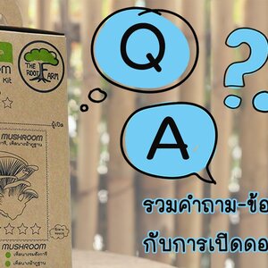 ถาม-ตอบ ชุดเห็ดพร้อมเปิด
