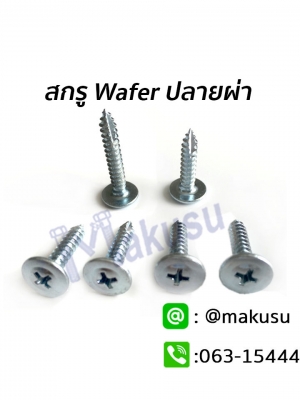 สกรูยึดโครงคร่าว ปลายผ่า ยึดชิ้นงานอเนกประสงค์ ไม้อัด แผ่นเหล็ก ป้ายโฆษณา มี 2 ขนาด