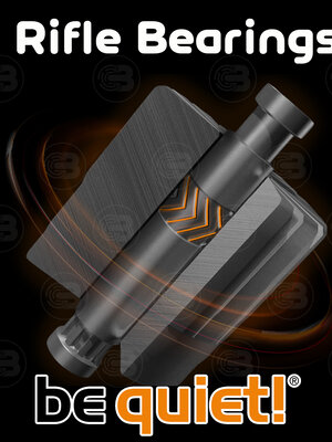 Rifle Bearings คืออะไร