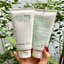 (1หลอด) Innisfree Green Tea Hydrating Amino Acid Cleansing Foam 150g. โฟมล้างหน้าชาเขียว แพ็คเก็จใหม่