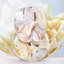 เซต Bvlgari Omnia Crystalline Gift Set(100มล.+15มล.)