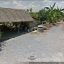 ขายที่ดินริมแม่น้ำท่าจีน (นครชัยศรี) 19.5 ไร่ ราคาถูกสุดในละแวกนี้ ต.บ้านใหม่ อ.สามพราน จ.นครปฐม