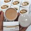รองพื้น Shiseido Spots Cover Foundation 20g. ของแท้