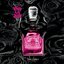 กล่องเทสเตอร์ Juicy Couture Viva La Juicy Noir EDP 100ml. น้ำหอมของแท้