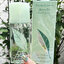 น้ำหอมของแท้ Elizabeth Arden Green Tea Scent Spray Eau de Parfum 100ml. 2025 (1กล่อง)