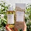 SKIN1004 Madagascar Centella Ampoule 100ml. เซรั่มเซ็นเทลล่า