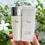 IPSA Protector Sun Shield E 30ml. กันแดดเนื้ออิมัลชั่น (ป้าย NOT FOR SALE)