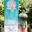 Anna Sui Fantasia Mermaid Eau De Toilette 75ml. [กล่องซีล]