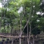 ศรีตรัง