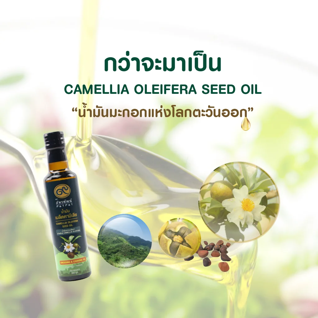 น้ำมันเมล็ดคามีเลีย หรือน้ำมันเมล็ดชา (Camellia Oleifera Seed Oil) น้ำมันเมล็ดคามีเลีย หรือน้ำมันเมล็ดชา (Camellia Oleifera Seed Oil)