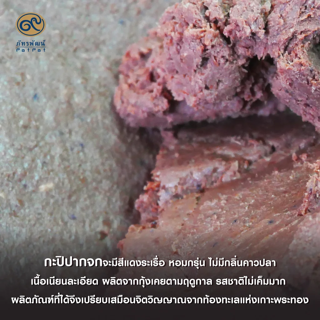 กะปิปากจก (Shrimp Paste) กะปิปากจก (Shrimp Paste)