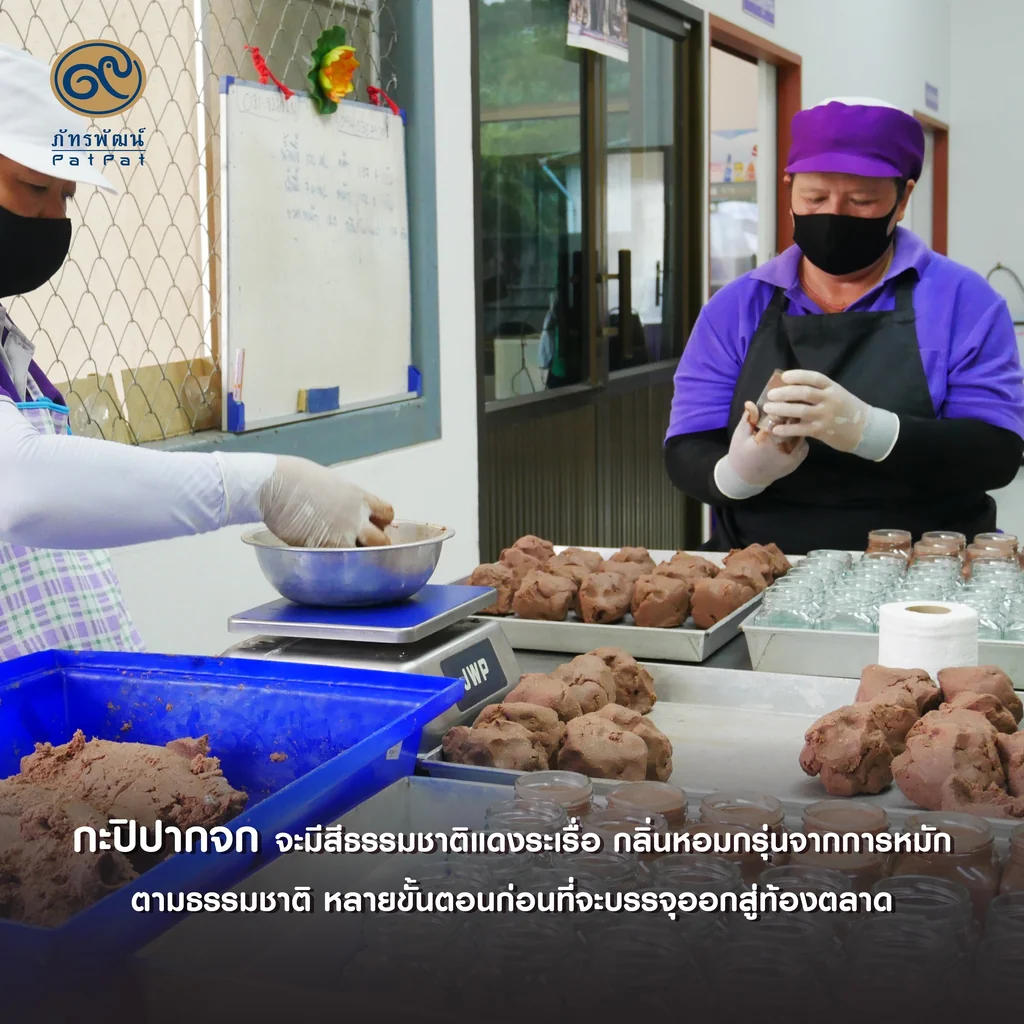 กะปิปากจก (Shrimp Paste) กะปิปากจก (Shrimp Paste)