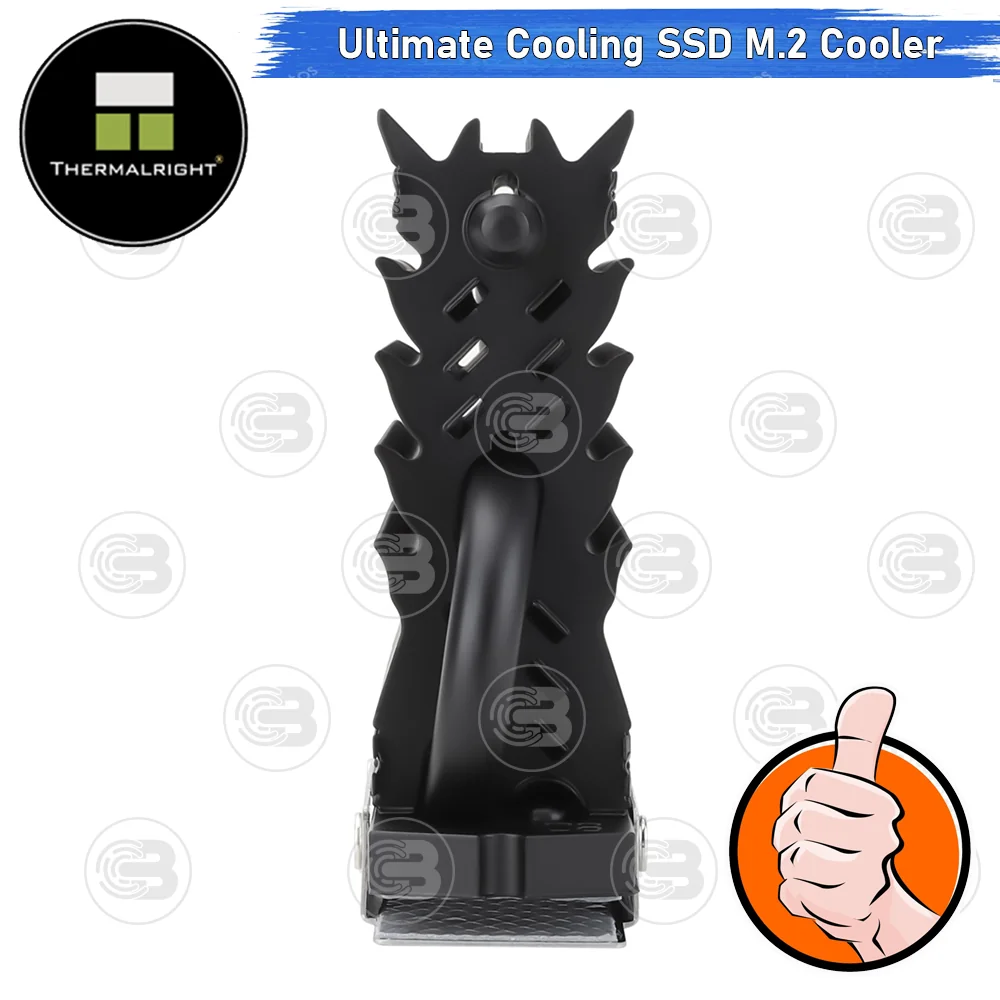[CoolBlasterThai] Thermalright HR-09 2280 PRO Black SSD M.2 COOLING KIT With Heatpipe