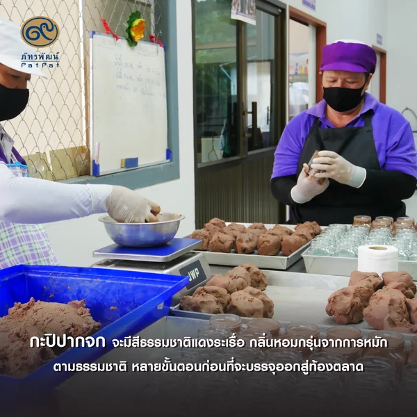 กะปิปากจก (Shrimp Paste) image 4 กะปิปากจก (Shrimp Paste) image 4