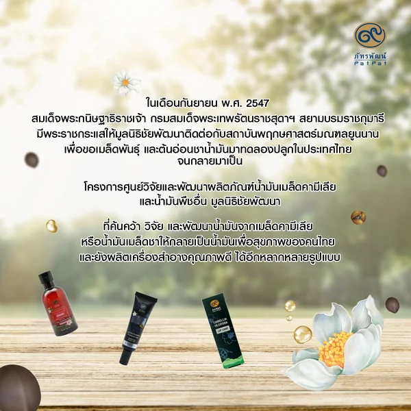 น้ำมันเมล็ดคามีเลีย หรือน้ำมันเมล็ดชา (Camellia Oleifera Seed Oil) 250 มิลลิลิตร image 3 น้ำมันเมล็ดคามีเลีย หรือน้ำมันเมล็ดชา (Camellia Oleifera Seed Oil) 250 มิลลิลิตร image 3